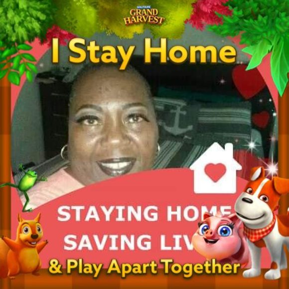 davisjudy853